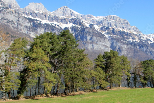 Alpe Suisse