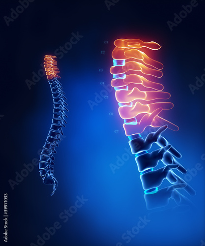Illustration: Cervical spine anatomy in detail Cervical spine anatomy in detail