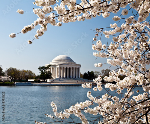 Photo: Washington DC Jefferson Memorial with Cherry Blossoms Washington DC Jefferson Memorial with Cherry Blossoms