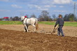 Ground processing