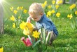 Foto: Child watering plants in sunshine Child watering plants in sunshine