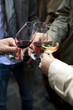 Vin, dégustation, œnologie, amis, boire, boisson, verre