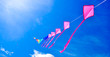 colorful of kites