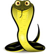snake