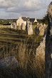 France Bretagne Pointe de Pen Hir Dolmens (14)