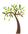 Tree illustration