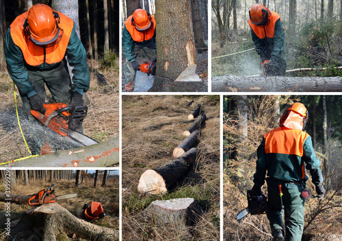 Photo: Woodcutter, forest work set Woodcutter, forest work set