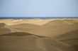 Foto: Paseo por las dunas Paseo por las dunas