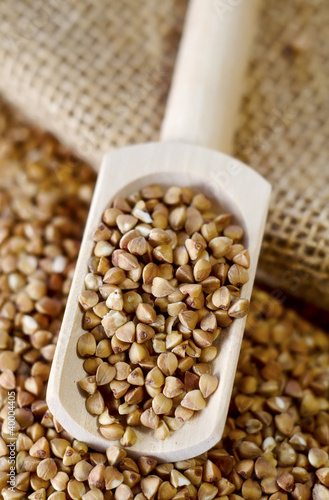 Photo: Buckwheat Buckwheat