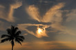 Hawaii Sunset