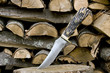 vintage bone handle knife
