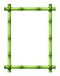 Illustration: Green Bamboo Frame Green Bamboo Frame