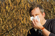 Pollenallergie
