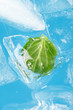 ice and leaf