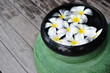 Plumeria flower in green jar for spa decoration