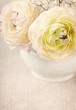Ranunculus Ranunculus