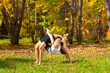 yoga dhanurasana under urdhva dhanurasana pose