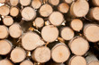 wood texture
