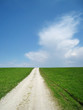 Der Weg zum Himmel 4