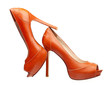 Pair of dress women shoes isolated over white