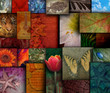 Mosaic Earth Tone Nature Rough Patterns Mosaic Earth Tone Nature Rough Patterns