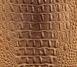 clever fake crocodile leather background clever fake crocodile leather background