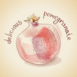 Vector illustration of vintage pomegranate