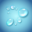 Vector water drops