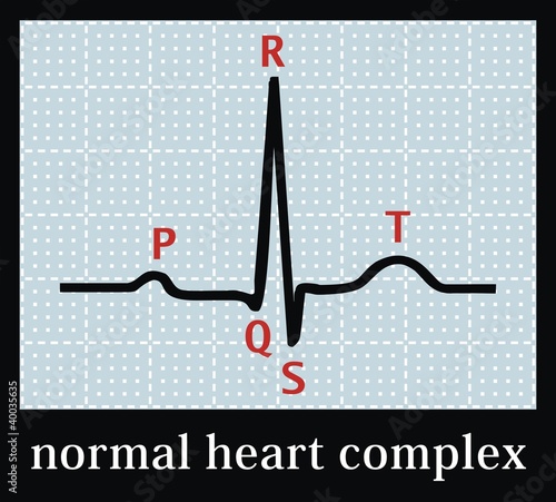 Vector: Normal heart set on electrocardiogram. Professional information. Normal heart set on electrocardiogram. Professional information.