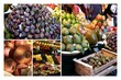 Collage Marktvielfalt