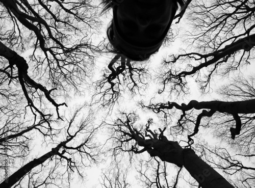 Photo: Baumkronen Baumkronen