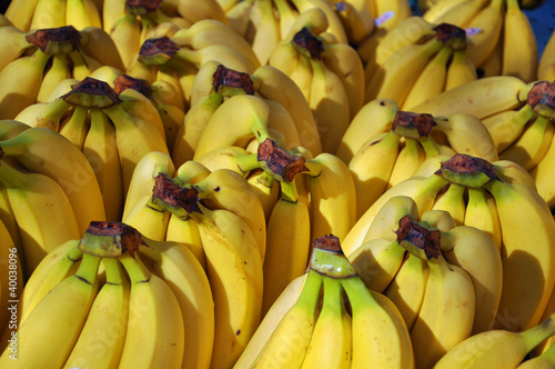 Photo: Bananas Bananas