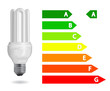 Energy efficiency light bulb