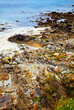 Various pebbles on the shore Various pebbles on the shore