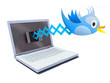 Blue bird tweets and sings on notebook Blue bird tweets and sings on notebook