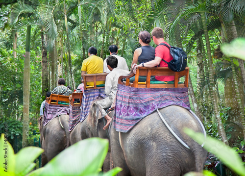 Photo: BAKAS ELEPHANT SAFARI, Bali, Indonesia BAKAS ELEPHANT SAFARI, Bali, Indonesia