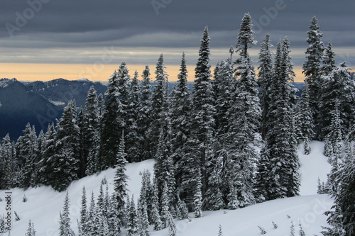 Photo: Mt. Rainier #6 Mt. Rainier #6
