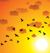vector flock of flying birds, clouds and bright sun