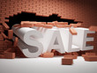 Sale concept