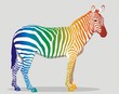 Vector: Zebra Zebra