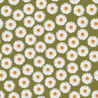 White camomiles seamless White camomiles seamless