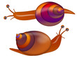 Rainbow Colored Shell Garden Snails