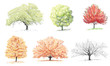 Trees - Sketches