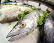 Huge Mackerel Fish on the market