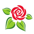 rose symbol