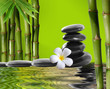 spa stones,bamboo  with frangipani