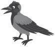 Crow