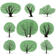 Vektor: Vector trees Vector trees