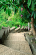 Photo: Stairway to jungle, Pura Uluwatu, Bali, Indonesia Stairway to jungle, Pura Uluwatu, Bali, Indonesia
