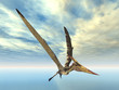 Pteranodon